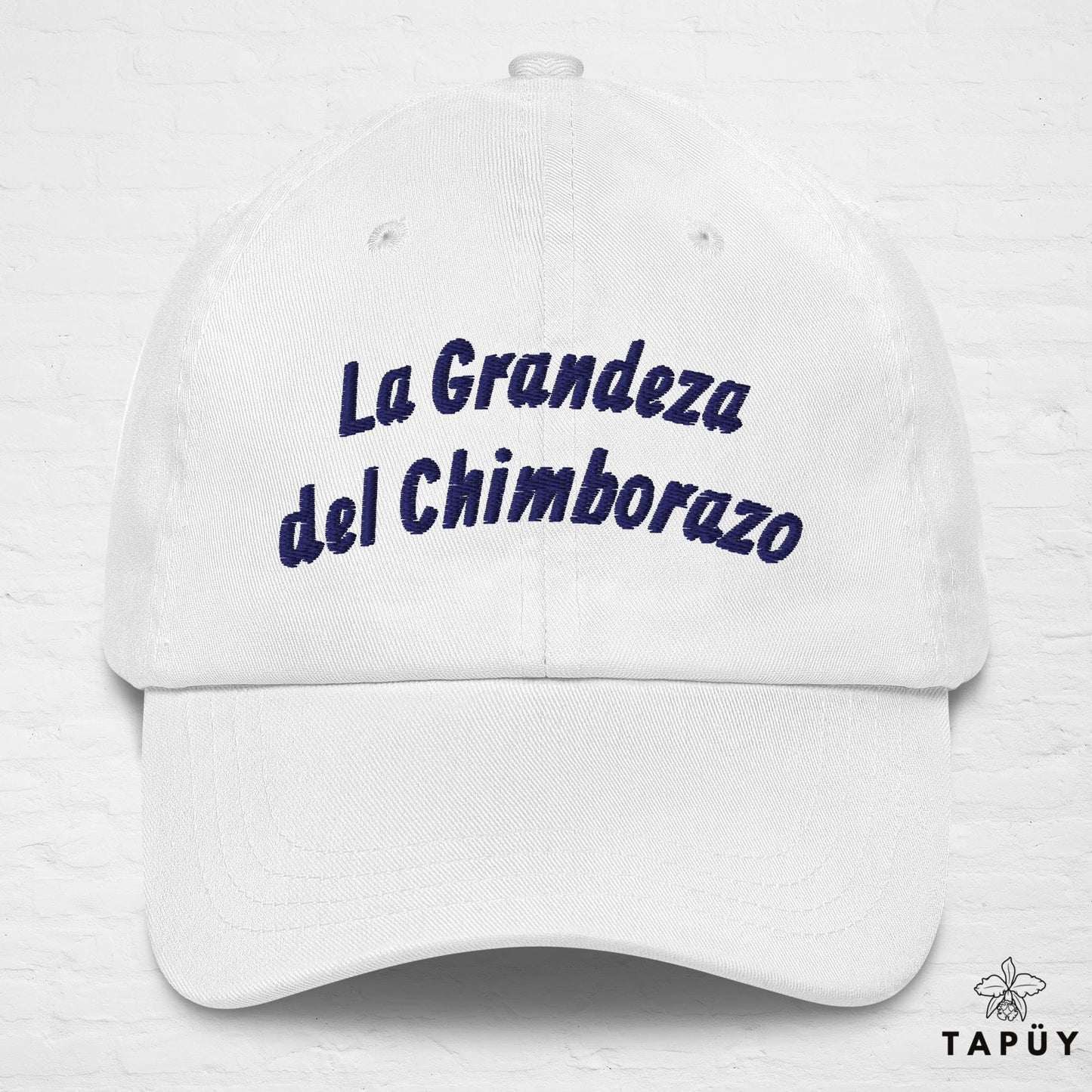 Casquette Equateur - La Grandeza del Chimborazo Blanc de la marque Tapüy