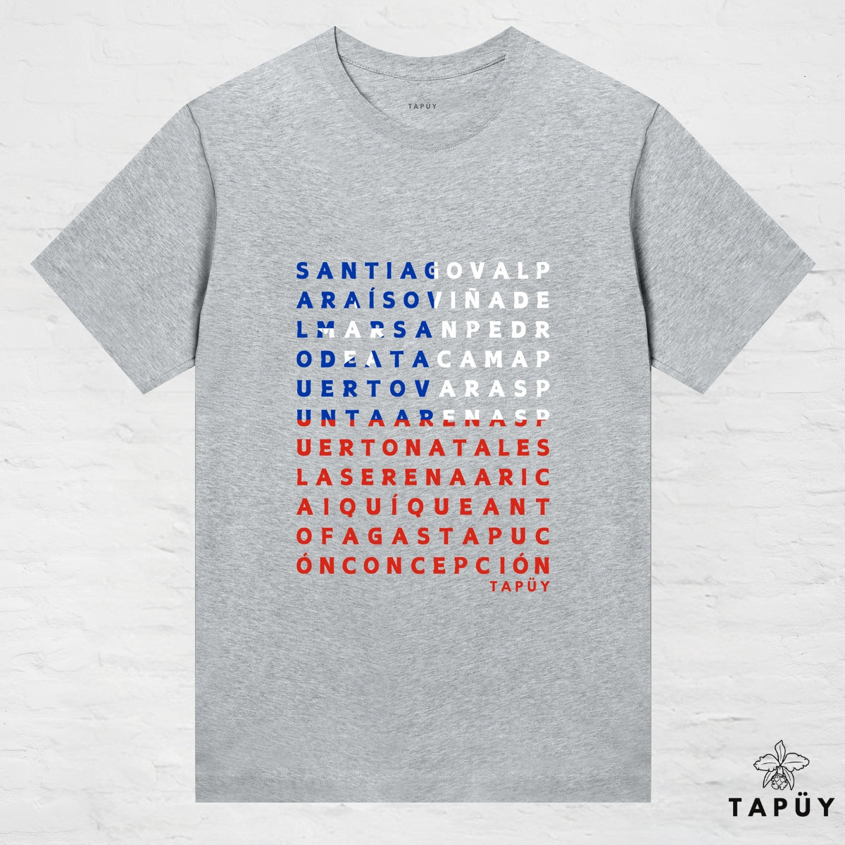 T-Shirt Femme - Ciudades de Chile Gris Chiné / XS de la marque Tapüy