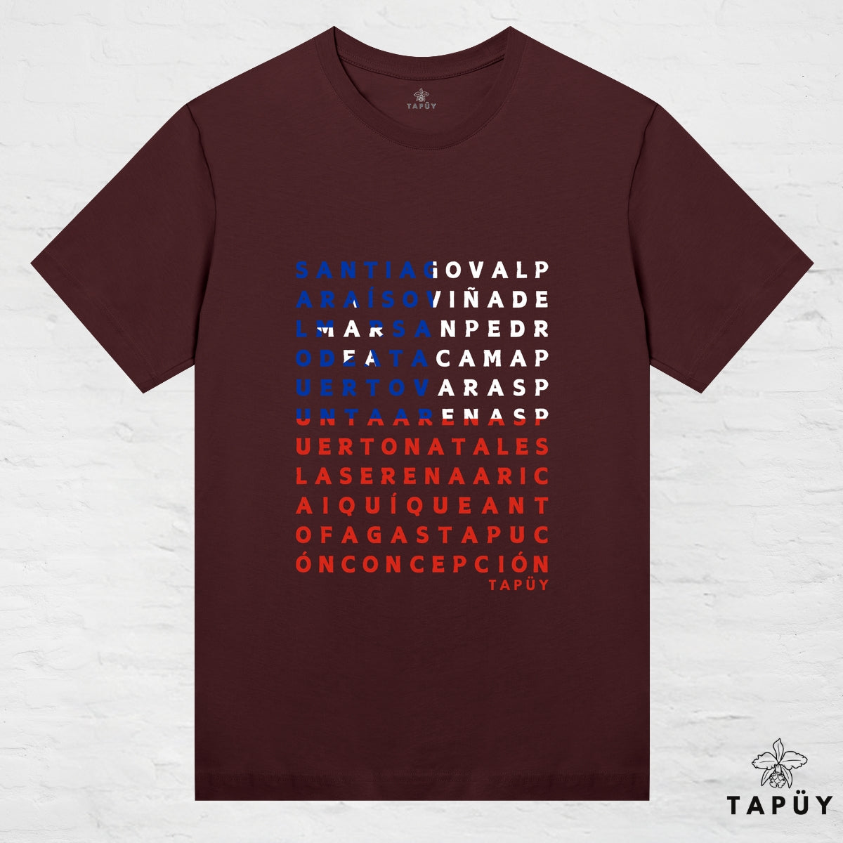 T-Shirt Femme - Ciudades de Chile Marron Foncé / XS de la marque Tapüy