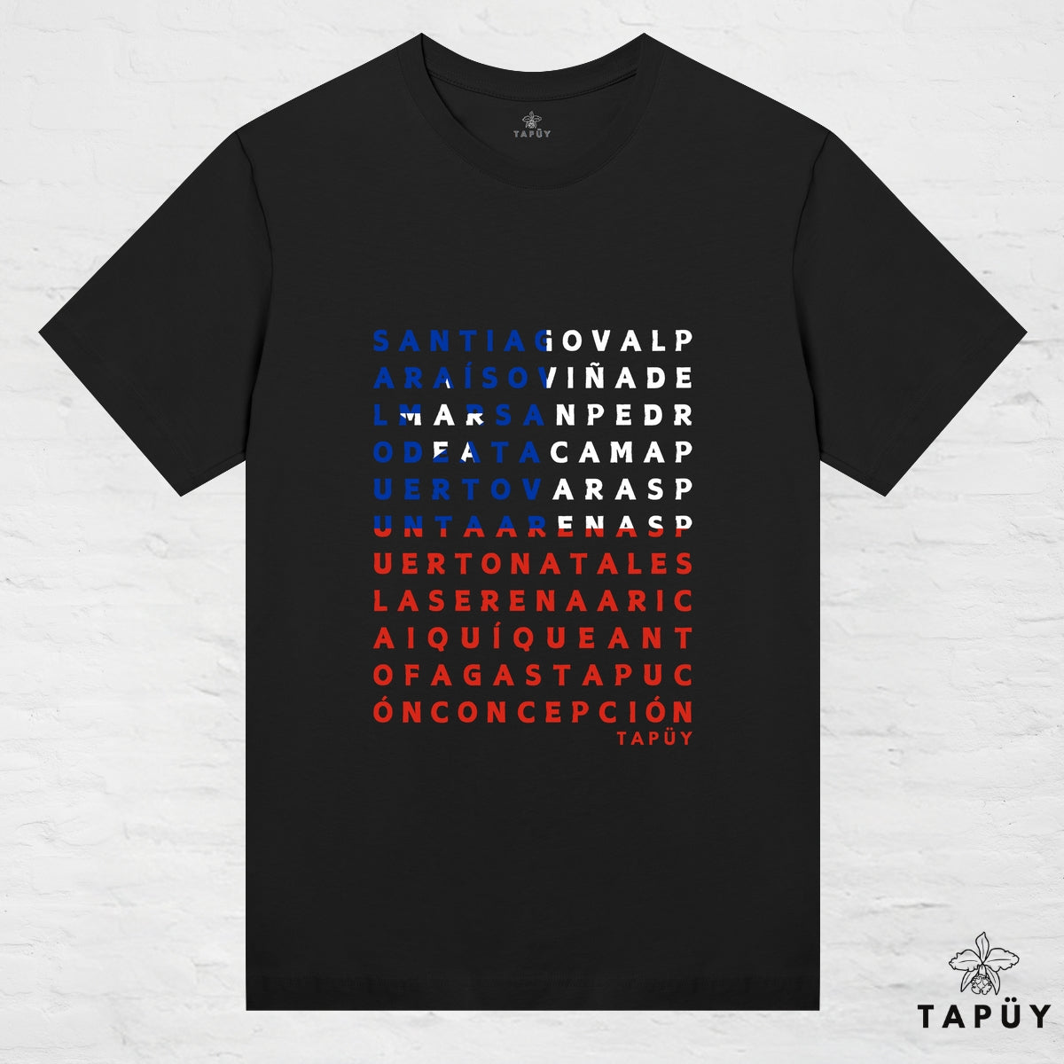 T-Shirt Femme - Ciudades de Chile Noir / XS de la marque Tapüy