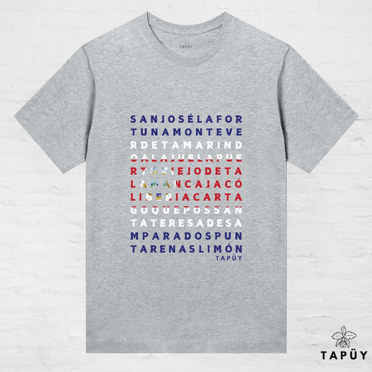 T-Shirt Femme - Ciudades de Costa Rica Gris Chiné / XS de la marque Tapüy