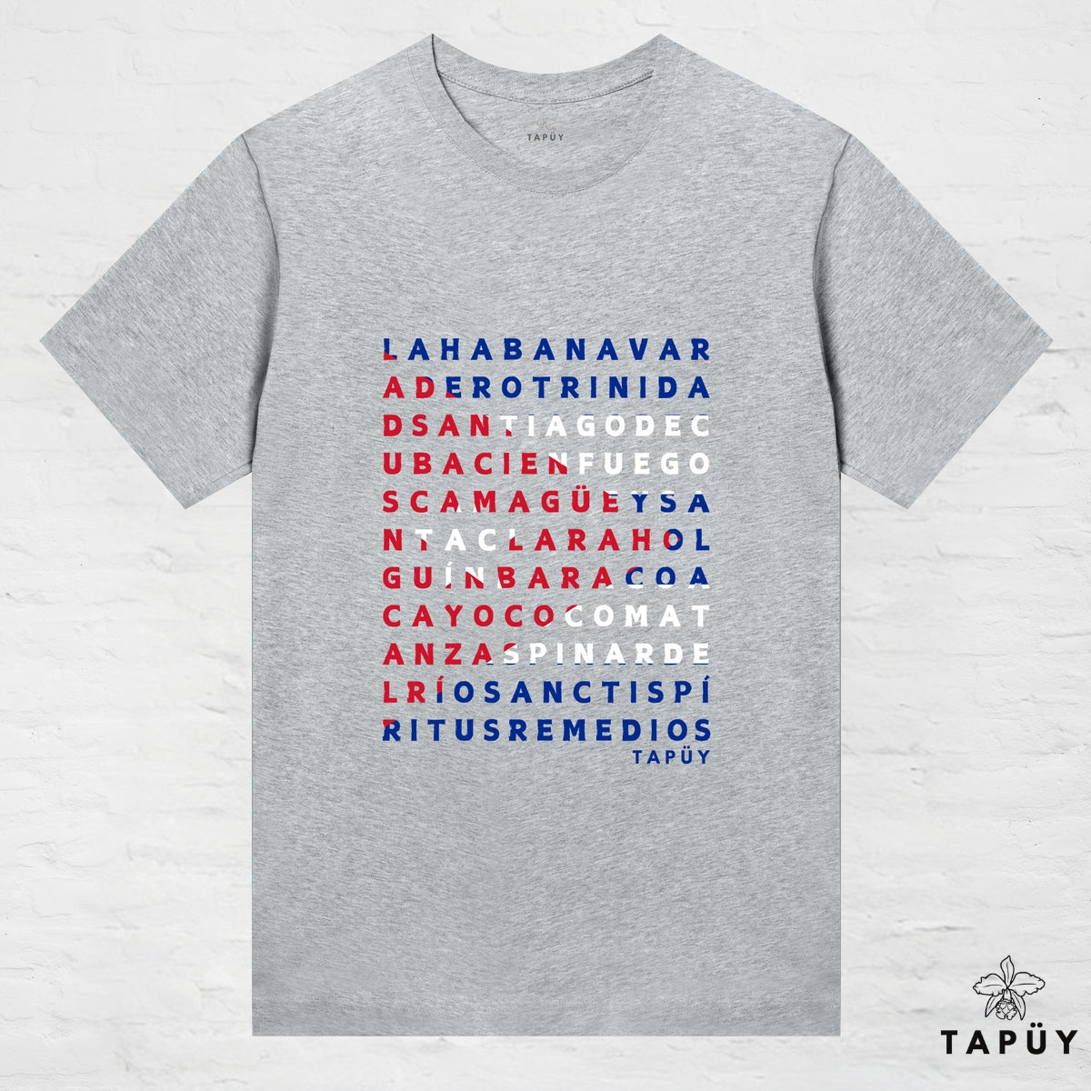 T-Shirt Femme - Ciudades de Cuba Gris Chiné / XS de la marque Tapüy