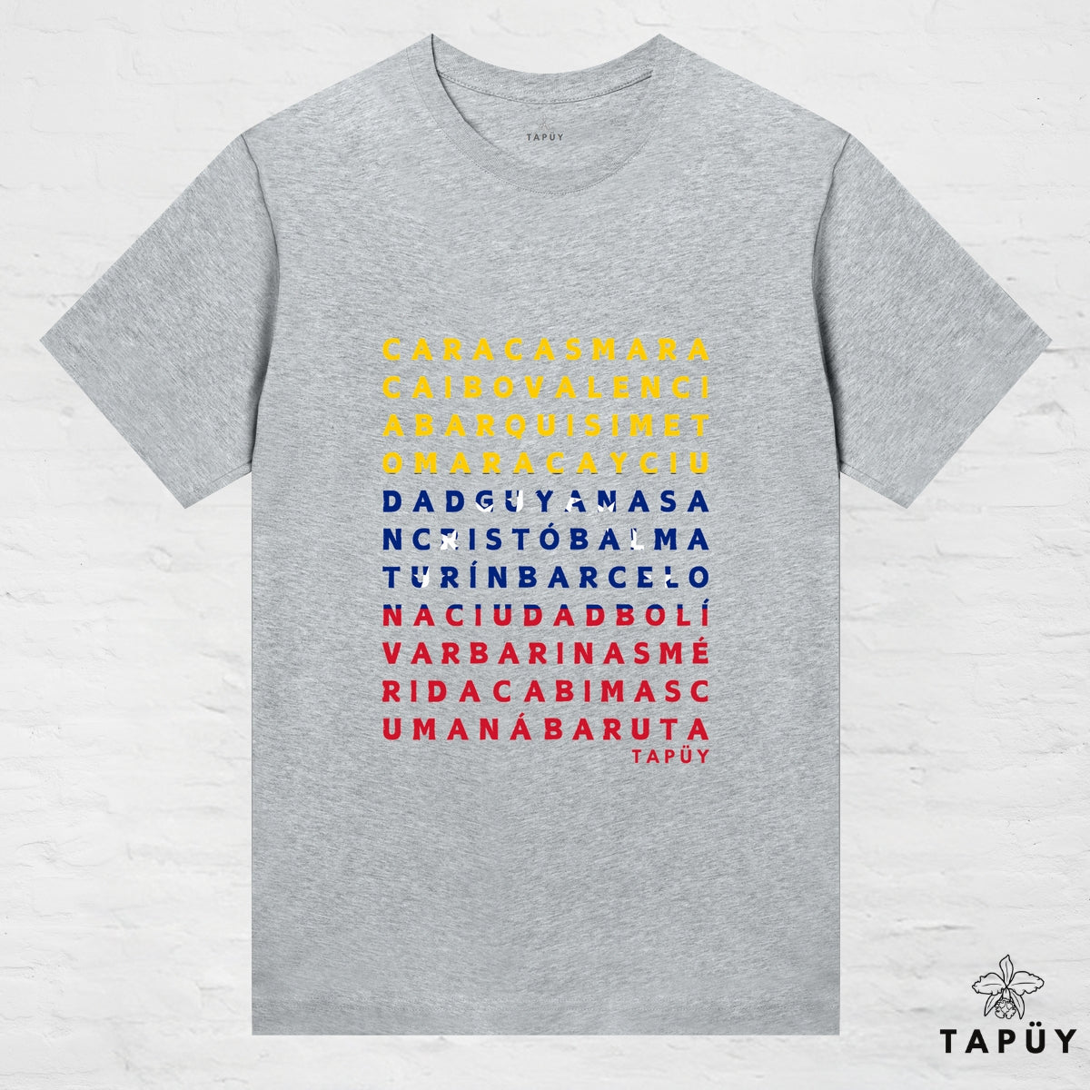 T-Shirt Femme - Ciudades de Venezuela Gris Chiné / XS / women de la marque Tapüy