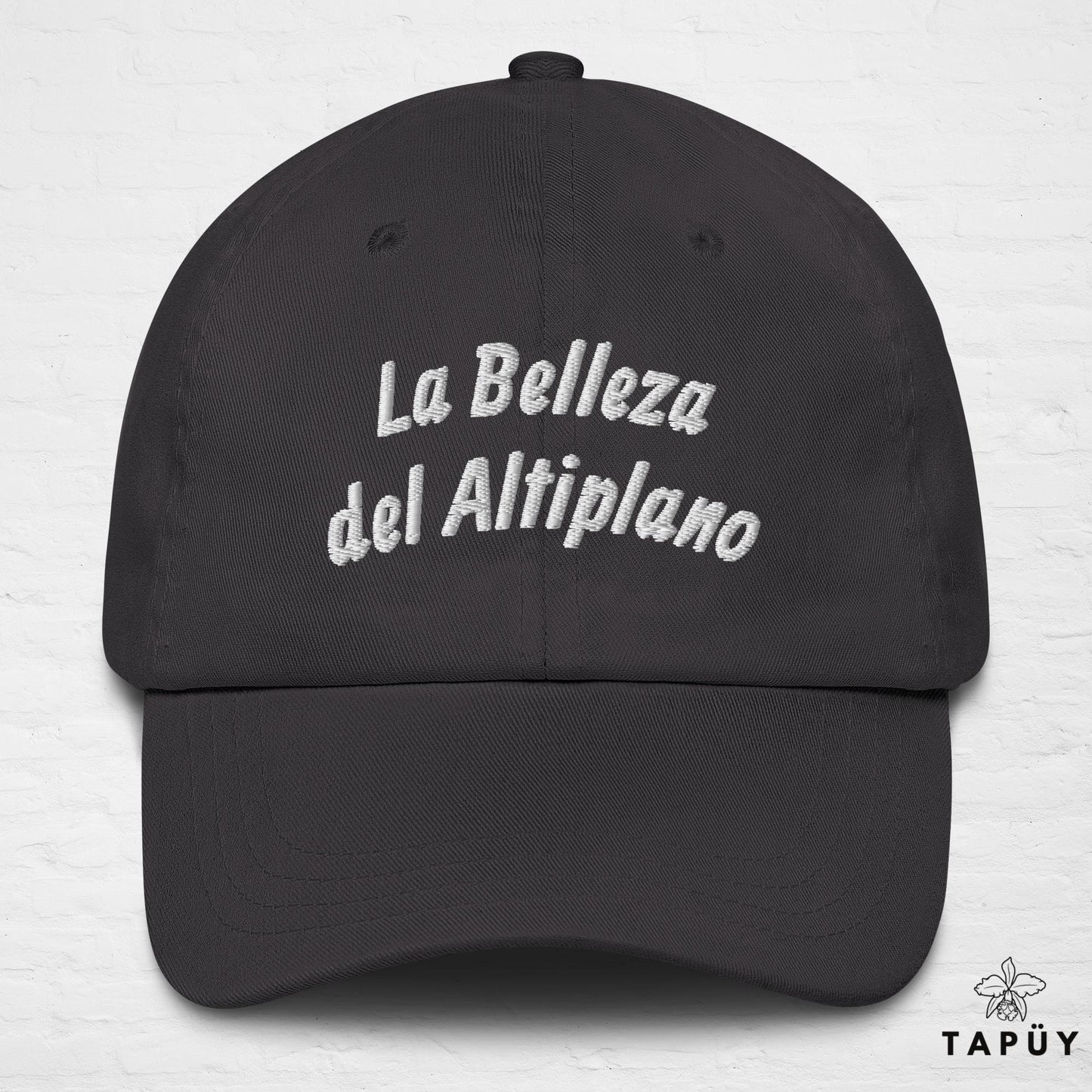 Casquette Bolivie - La Belleza del Altiplano Gris Foncé de la marque Tapüy