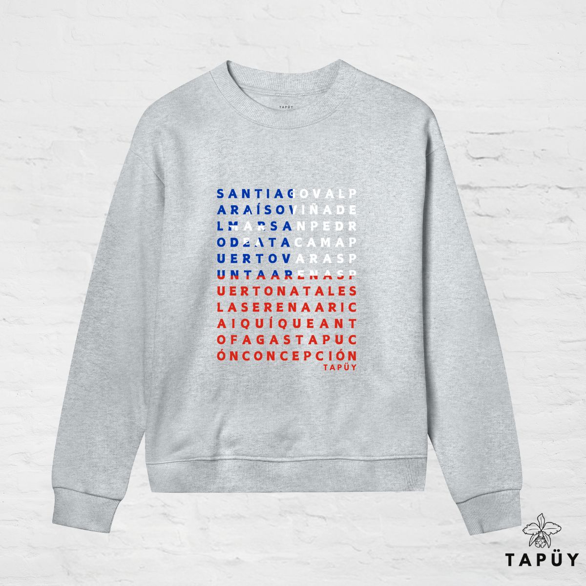 Sweatshirt Femme - Ciudades de Chile Gris Chiné / XS de la marque Tapüy