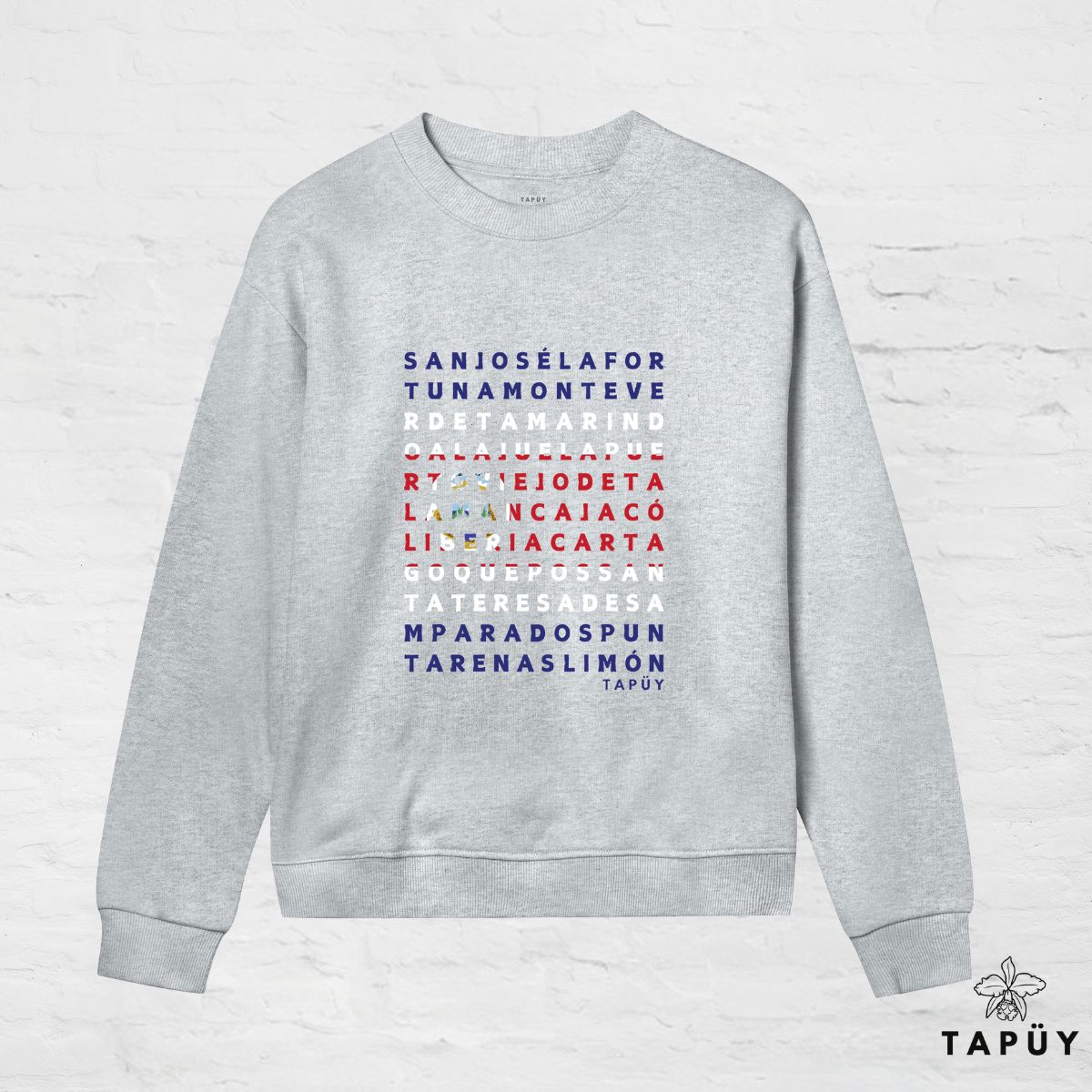 Sweatshirt Femme - Ciudades de Costa Rica Gris Chiné / XS de la marque Tapüy
